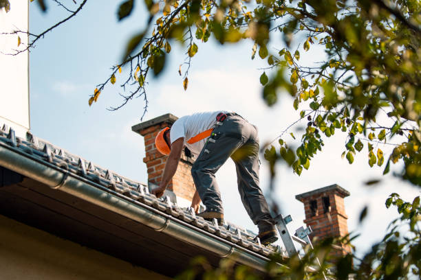 Best Roof Gutter Cleaning  in Montegut, LA