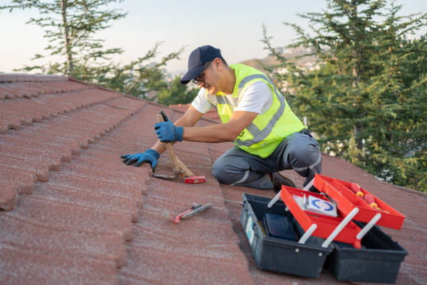 Best Tile Roofing Contractor  in Montegut, LA